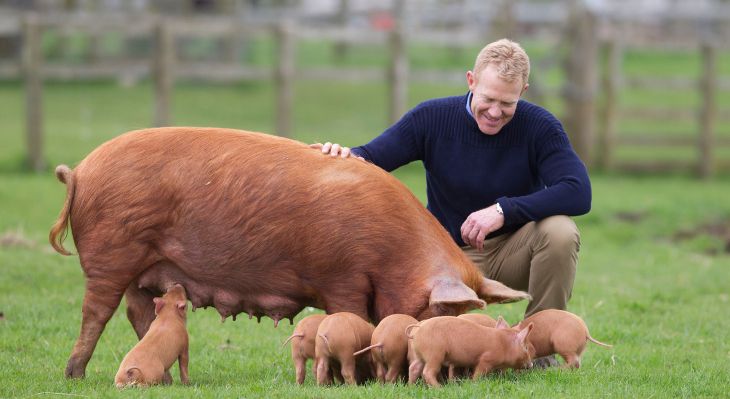 Adam Henson