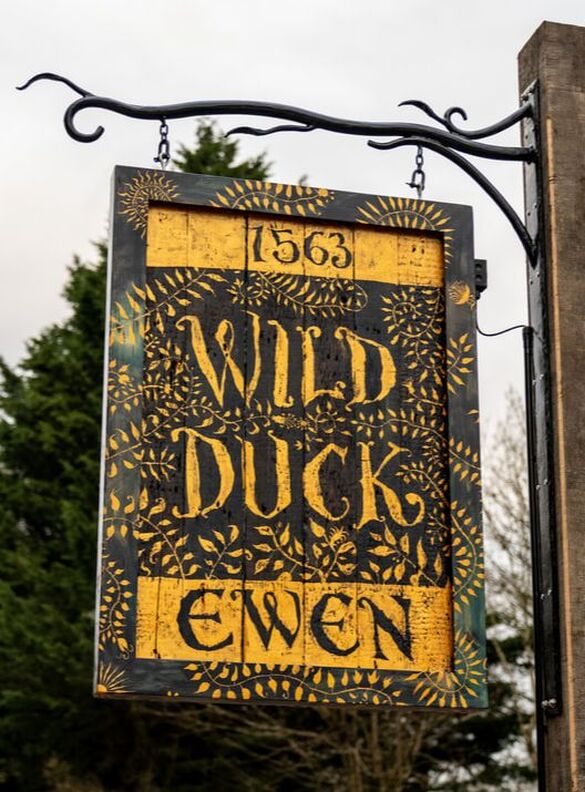 Wild Duck